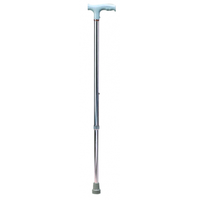 floral walking stick