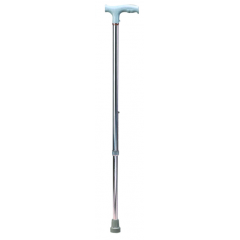floral walking stick