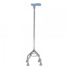 walking cane with feet