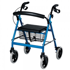 walker with wheels