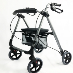 walker mobility	