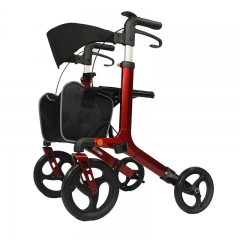 senior walkers with wheels